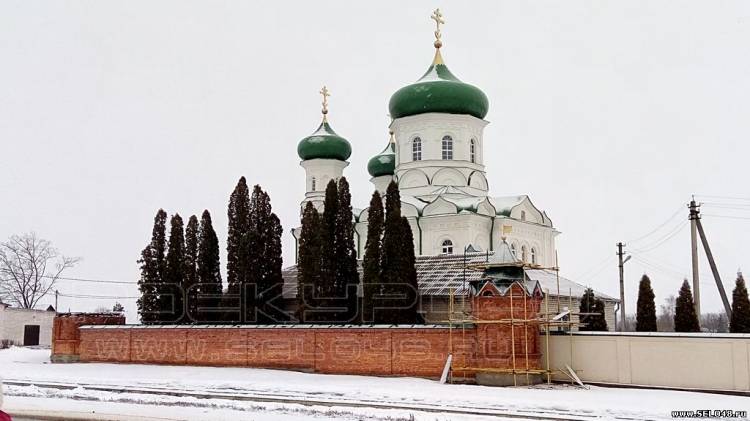 Троекуровский женский монастырь Зима 2016г